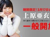 【期間限定】　カリビアンコム、上原亜衣展　開催！