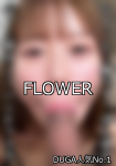 【DUGA】FLOWERのおすすめ人気作品TOP10 DUGA