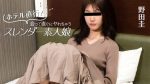 ホテル直行！会って直ぐにヤれちゃうスレンダー素人娘 野田圭